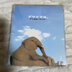 2026年最新】YMO DVD complete hurrahの人気アイテム - メルカリ