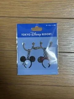 東京ディズニーリゾート キーホルダー 2個セット