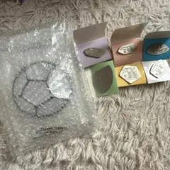 【限定】FIFAワールドカップピンバッジセット