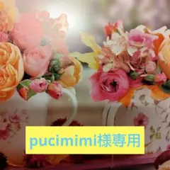 pucimimi様専用ページ
