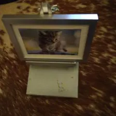 Item thumbnail for item dedacf8b-6c79-461b-812e-afa5dbe030c7