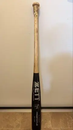 Item thumbnail for item 312323a4-a005-4950-be7f-bd117e4a48c8