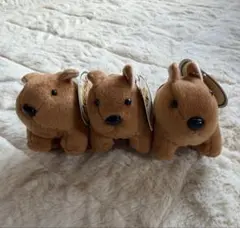 Item thumbnail for item 2e8f1c3a-e7d5-4001-98cc-4b53006efec6