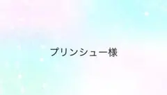 プリンシュー様専用ページ