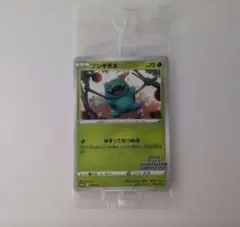 2025年最新】フシギダネ プロモ 未開封の人気アイテム - メルカリ