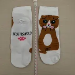 ネコ柄　5足セット　靴下　新品未使用