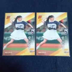 Item thumbnail for item 2bde9d2e-2cc5-4f3a-8071-46bf1d07db8b