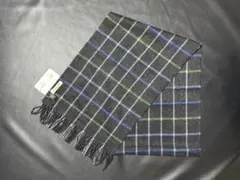 Item thumbnail for item 52bb2502-c2fe-47a1-a437-4716399e8b96