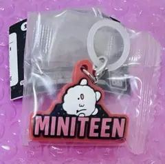 ミニティーン ぷっくりめじるしアクセサリー seventeen セブチ ウジ