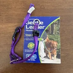 Item thumbnail for item 9736510d-f969-4447-bc16-2c7b0890192b