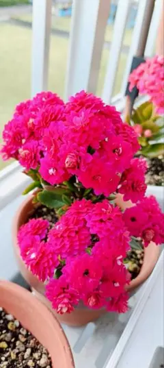 ゆずき様 リクエスト 2点 まとめ商品