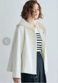 Item thumbnail for item 81fc05e8-ca75-48be-ba29-f7cba0af7a96