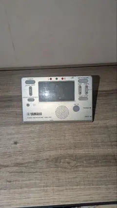 Item thumbnail for item abcbf42a-5d47-4f44-8c95-a3d900ccfc00