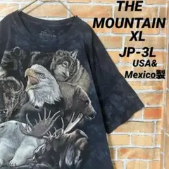 THE MOUNTAIN アニマルTEE タイダイ柄 半袖 Tシャツ 大きめのサムネイル