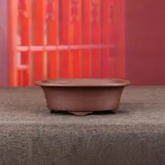 中国宜興 紫砂鉢 盆栽鉢 植木鉢 小品盆栽鉢 大品盆栽鉢