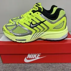 新品NIKE ナイキ エアズームペガサス 2005 ランニングシューズ 24.5