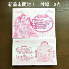 新品未使用！ディズニープリンセス　鍵付きトランク　着せ替えクローゼット