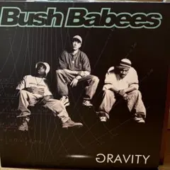 三毛猫ハスラー様 リクエスト 2点 まとめ商品