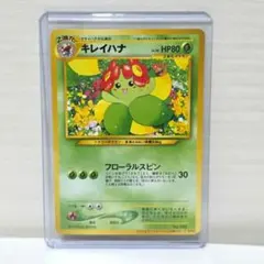 2026年最新】キレイハナ 旧裏の人気アイテム - メルカリ