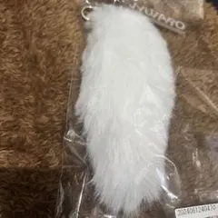 Item thumbnail for item 26c40755-0058-46b4-b796-9fff826b6f1f