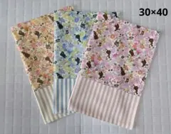 ハンドメイド　ランチョンマット　リバーシブル　３枚セット/　アリス柄a153