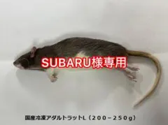 Item thumbnail for item ca03e96f-0d03-465e-9468-b135ad5d96f2