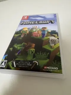 Minecraft Nintendo Switch版