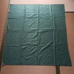 30数年前の生地 布地 ハンドメイド 手芸素材 グリーン　レトロ