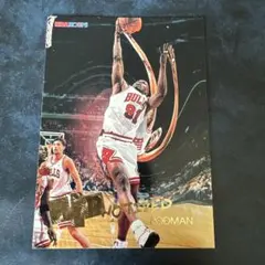 NBA LEGEND デニス・ロッドマン 高画質 サイン フォト 写真 - メルカリ