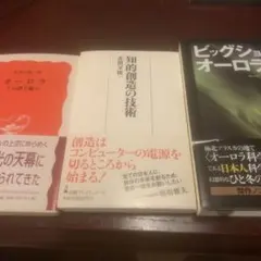 赤祖父俊一　オーロラ　知的創造の技術　ビッグショットオーロラ