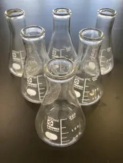 200ml ガラスフラスコ 6個セット