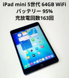 バッテリー95%【iPad mini 5世代 64GB WiFi】充放電163回