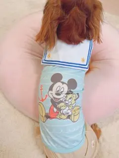 犬服 夏服 スリーアローズ ディズニー セーラー服 3Lのサムネイル