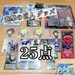 A3クリアポスターとタオル追加／進撃の巨人 グッズ×25点／まとめ売り／バラ不可
