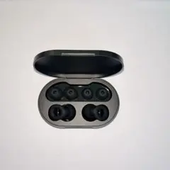 耳栓 睡眠用 遮音値28dB 3セット(SML)収納ケース付 ブラック
