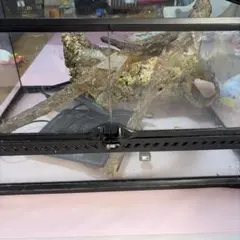 GEX グラステラリウム 3045 アステカキット① - メルカリ