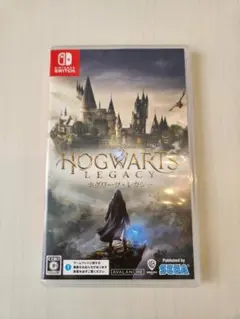 Hogwarts Legacy Nintendo Switch