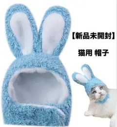 Item thumbnail for item 886ee821-2dde-4233-b6c8-ada62fa2b699