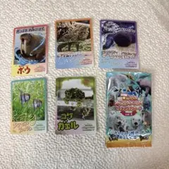 鳥羽水族館 コレクションカード 5枚セット