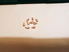 よんゆゆ様 リクエスト 2点 まとめ商品