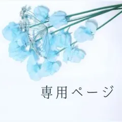（確認用）ユナイテッドアローズ／透けにくい生地バンドカラーブラウス オフホワイト