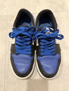 Nike ジョーダンゴルフ　23.5 Air Jordan golf
