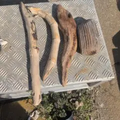 流木 4本セット 手芸・工作素材