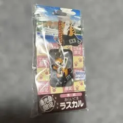 鹿児島限定 あらいぐまラスカル 黒豚 ストラップ
