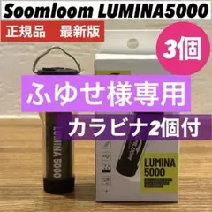 LUMINA5000 ルミナ5000 スームルーム　3個 ゴールゼロ　カラビナ