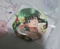 ぴちぴちピッチ　リナ　等身　缶バッジ　くじ引き堂