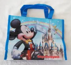 東京ディズニーランド・ディズニーシー バッグ　ミッキー ミニー