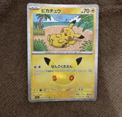 なんごくきぶん ピカチュウ