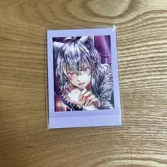 あくねこ　バスティン　ぱしゃこれ　第四弾