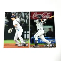 Item thumbnail for item 399c2e88-3ac3-4338-adf0-316a8859f67f